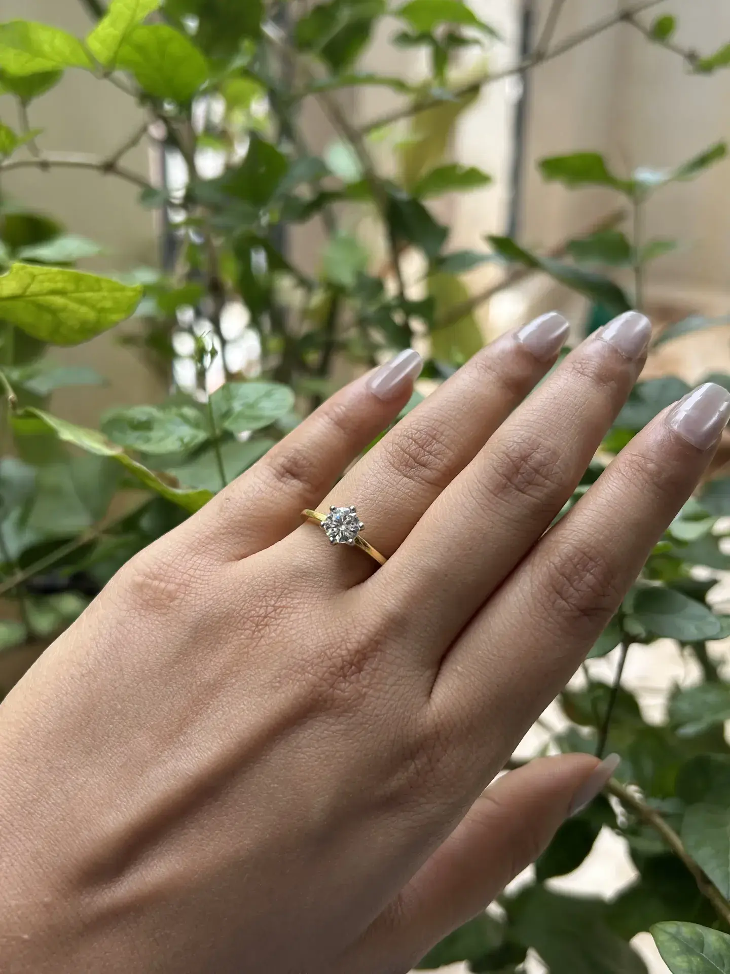 Radiant Promise Solitaire
