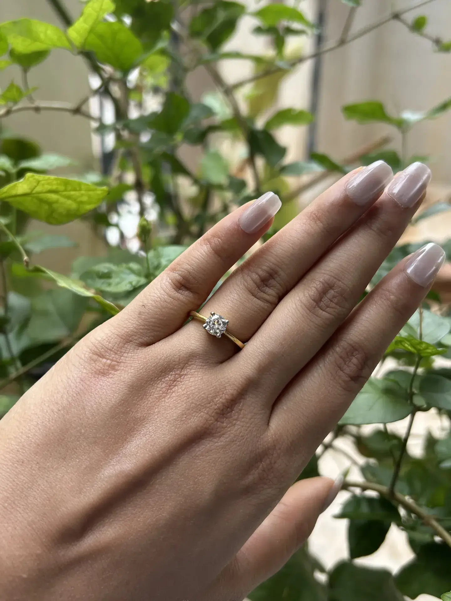 Everlasting Brilliance Solitaire Ring